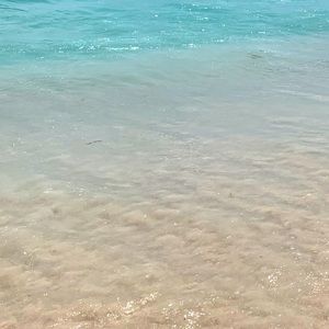 Meet your Posher, Sok